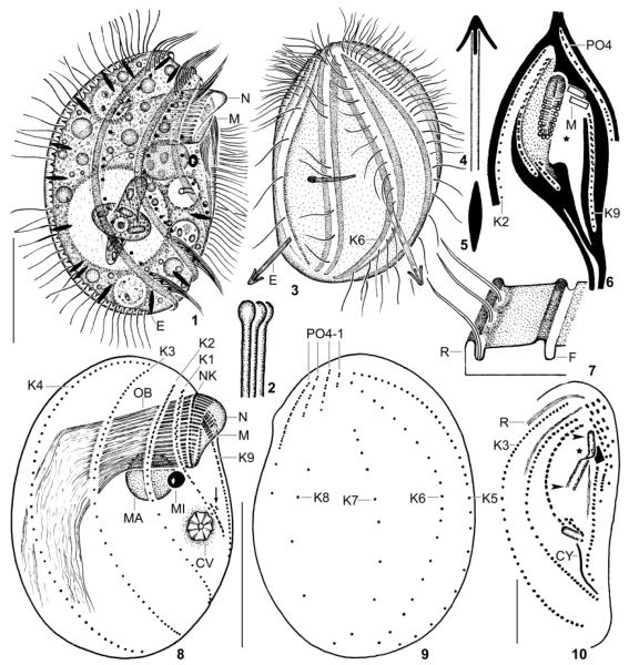 Fig. 1–10