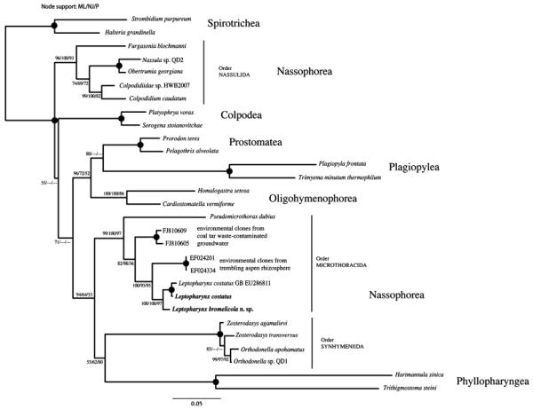 Fig. 72