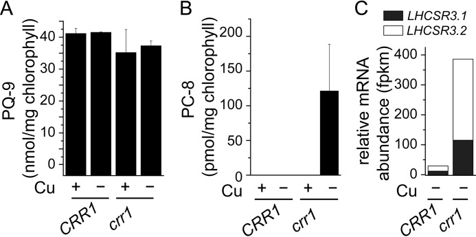 FIGURE 11.