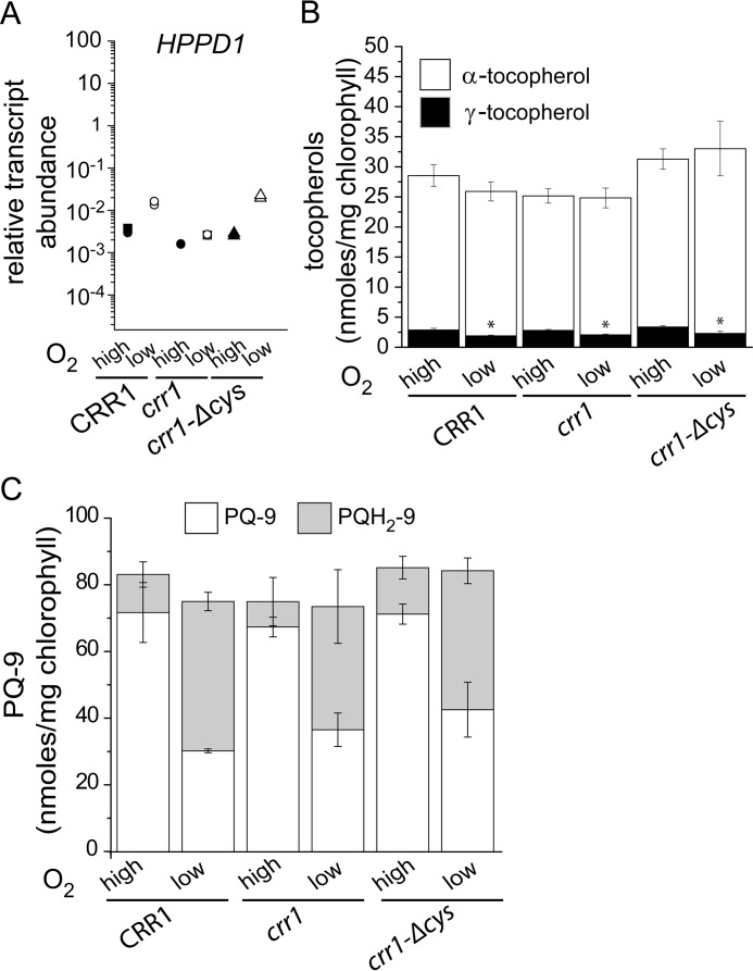 FIGURE 13.