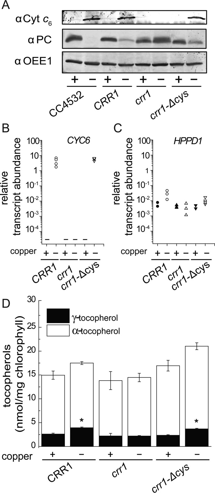 FIGURE 10.