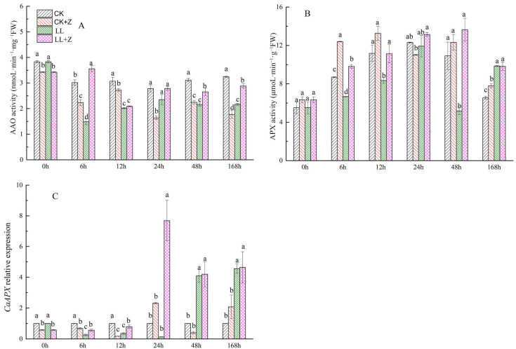 Figure 7