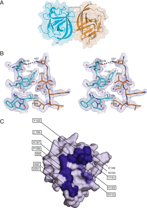 FIGURE 7.