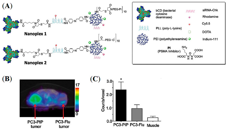 Figure 11