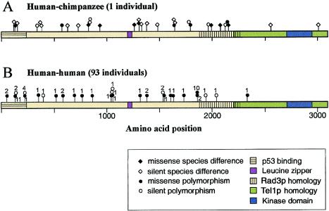 Figure  3