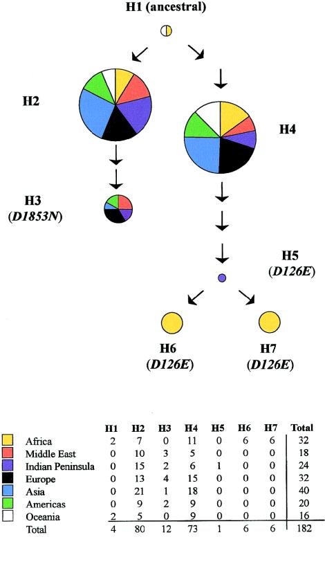 Figure  2