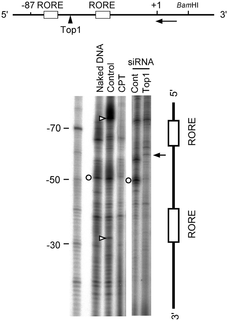 Figure 9.