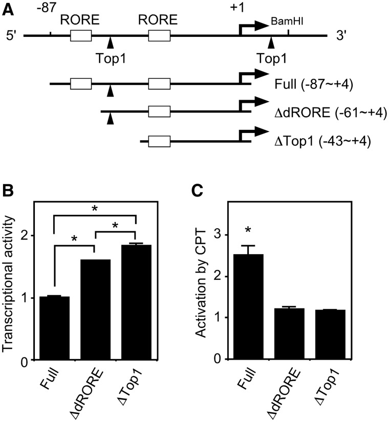 Figure 7.