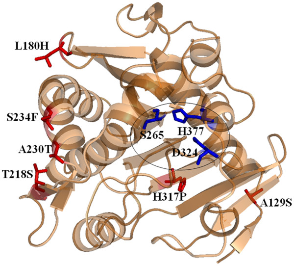 Figure 6 