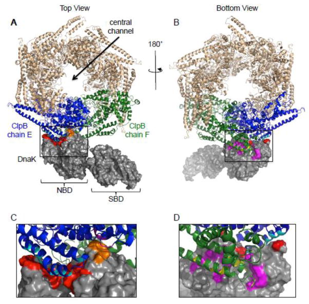 Fig. 7