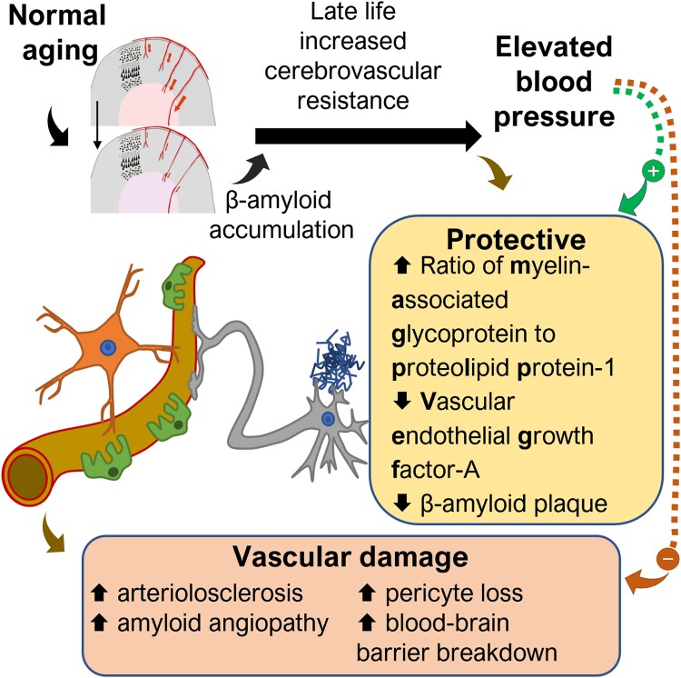 Graphical Abstract