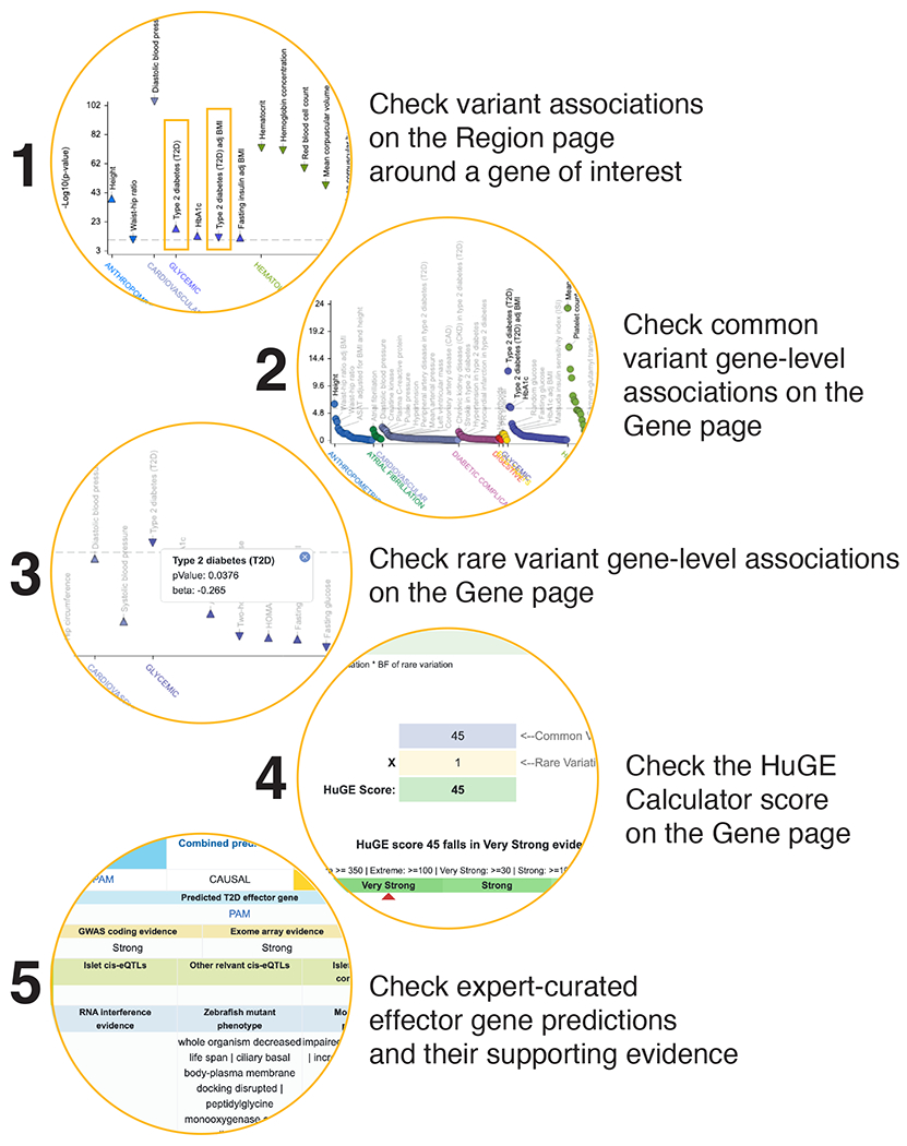 Figure 6: