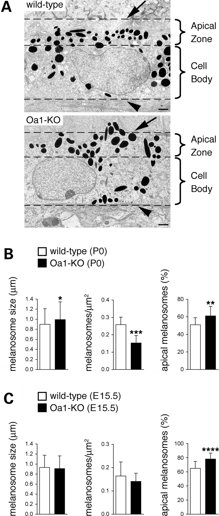 Figure 1.