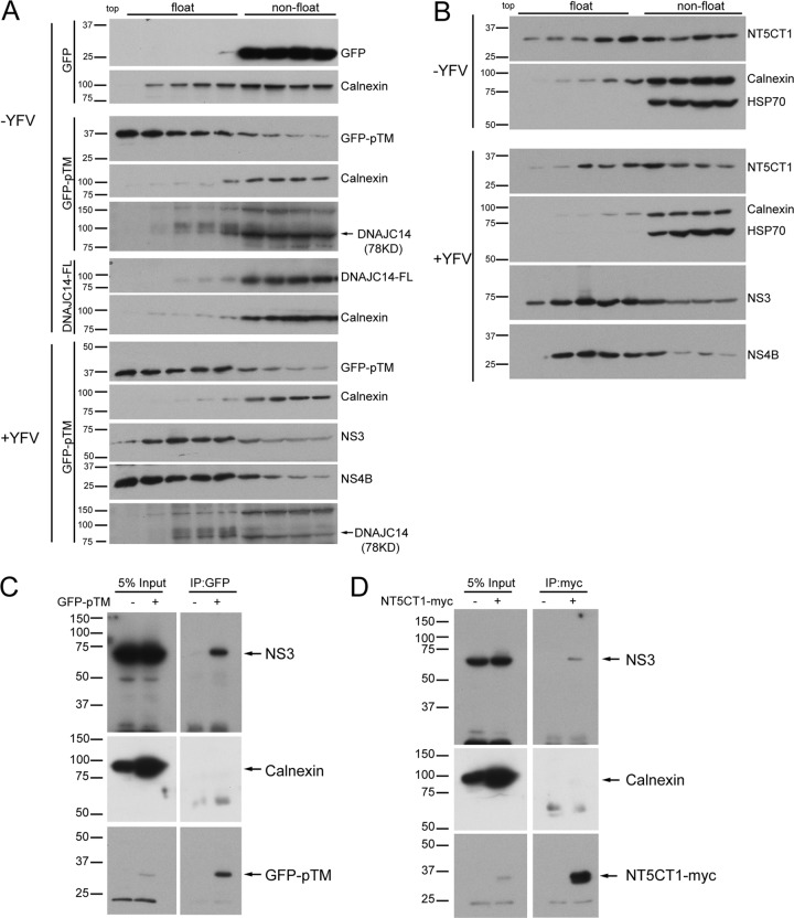 Fig 4