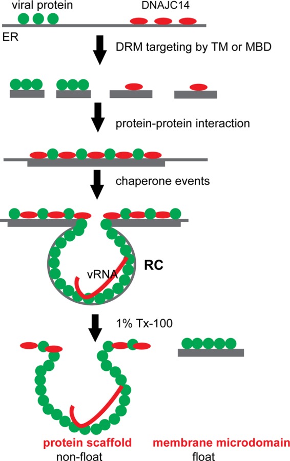 Fig 10