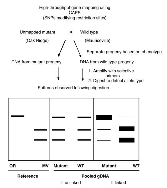 Figure 2.13