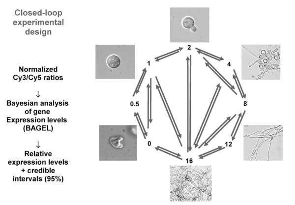 Figure 2.9