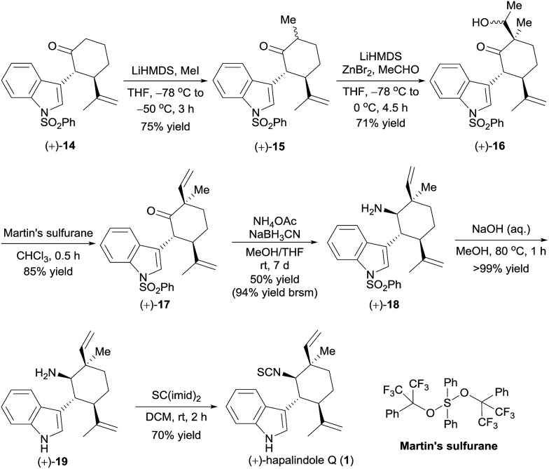 Scheme 4