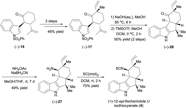 Scheme 6