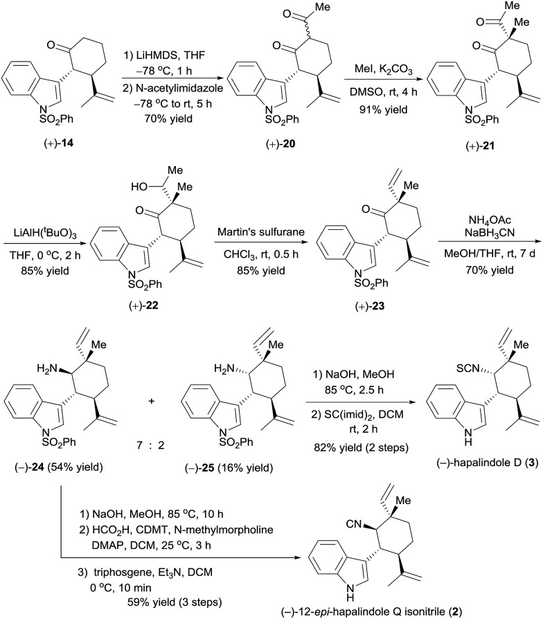 Scheme 5