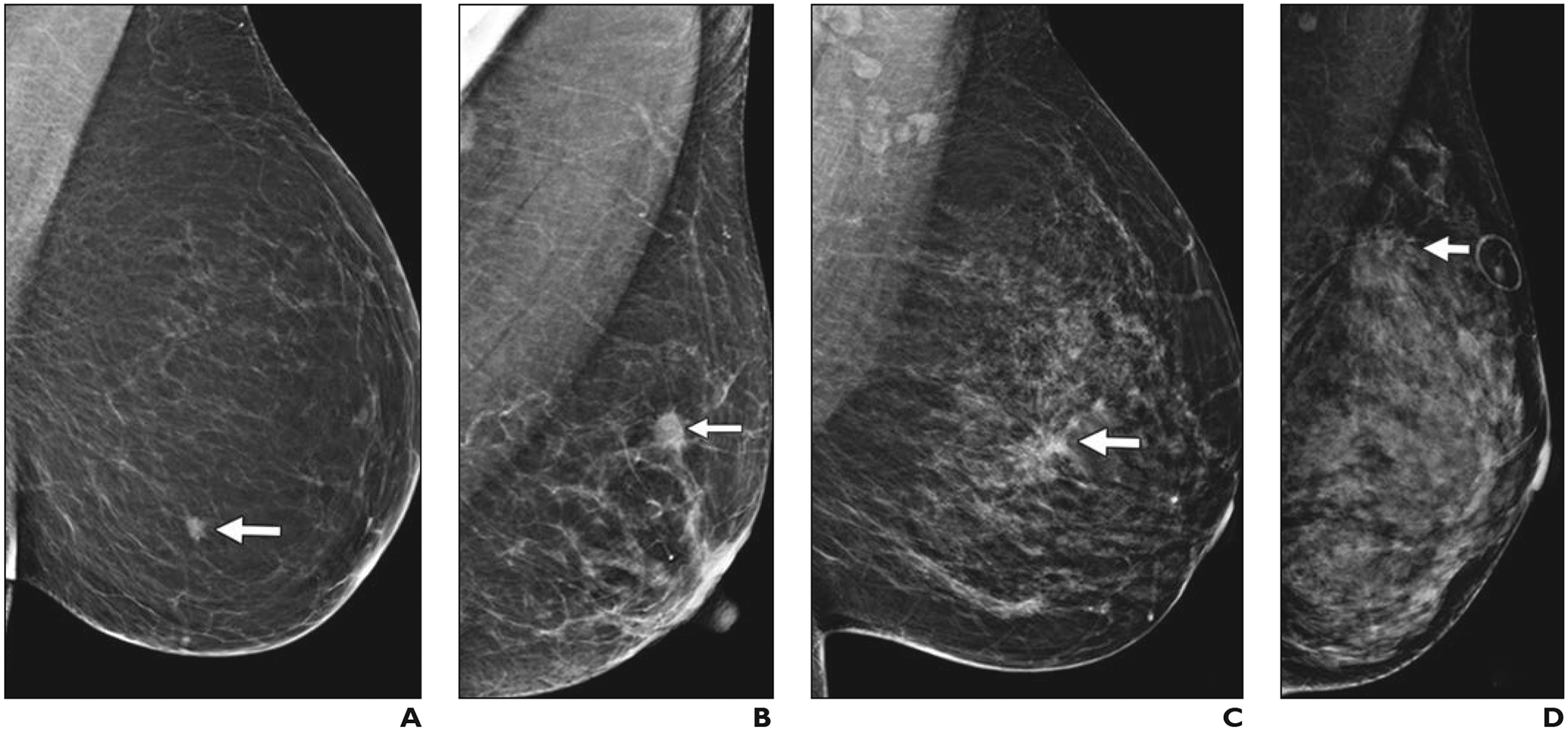 Fig. 1—