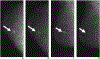 Fig. 5—