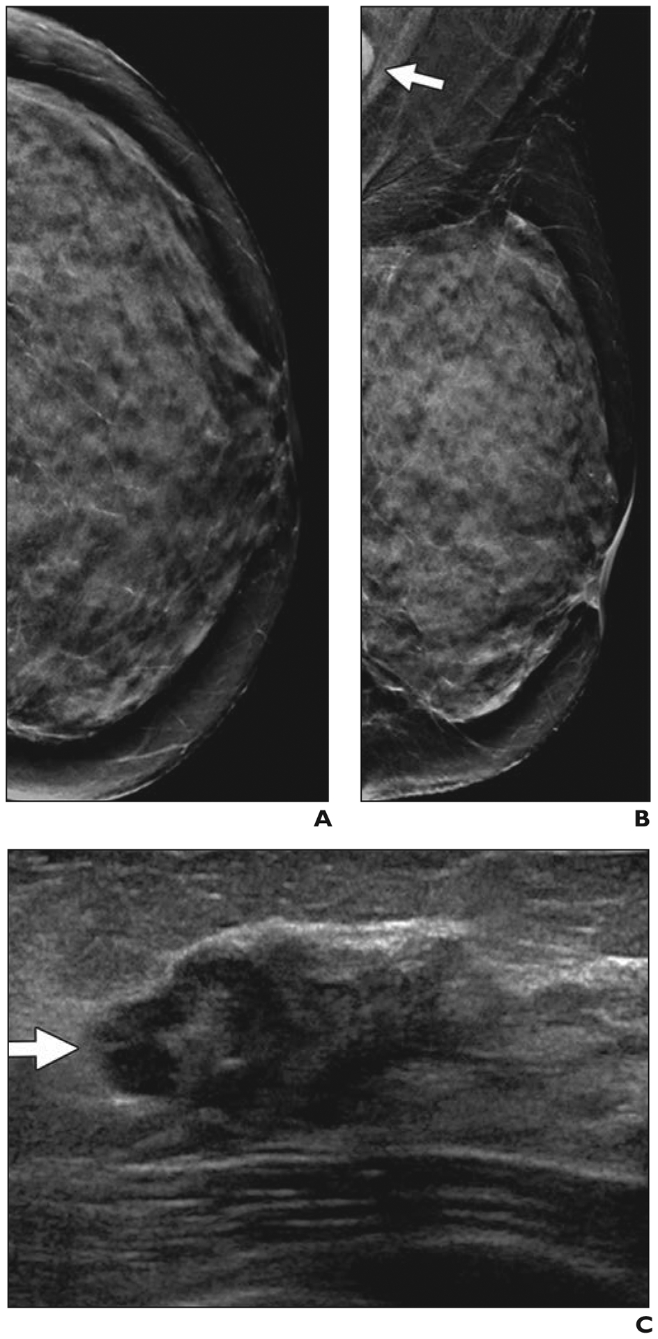 Fig. 4—