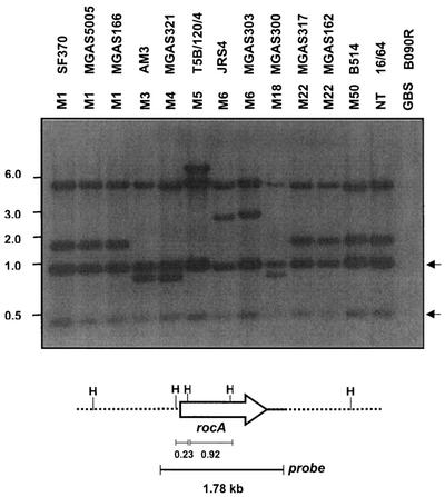 FIG. 8.