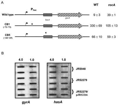 FIG. 5.