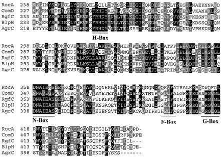 FIG. 9.