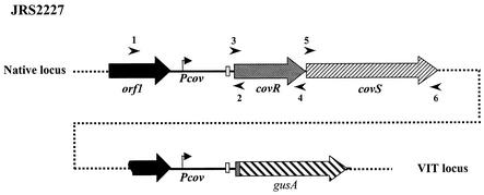 FIG. 1.