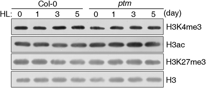 Fig. S9.