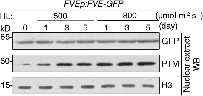 Fig. S12.