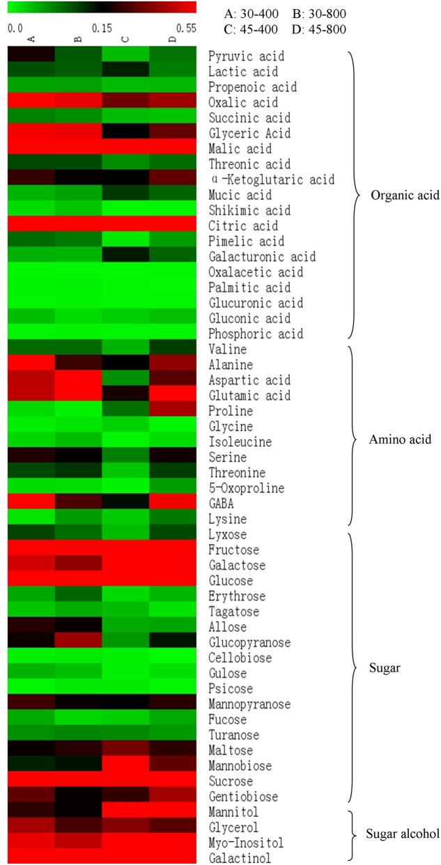 FIGURE 2