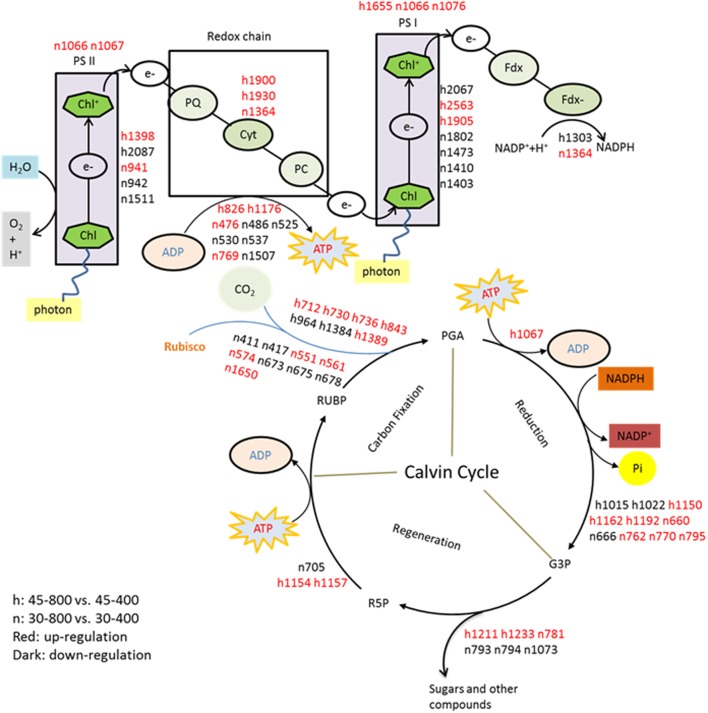 FIGURE 16