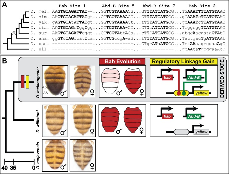 Figure 9.