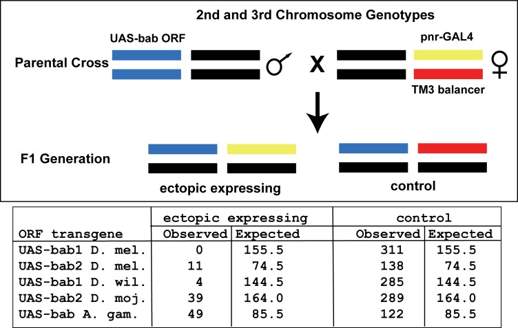 Figure 6—figure supplement 1.