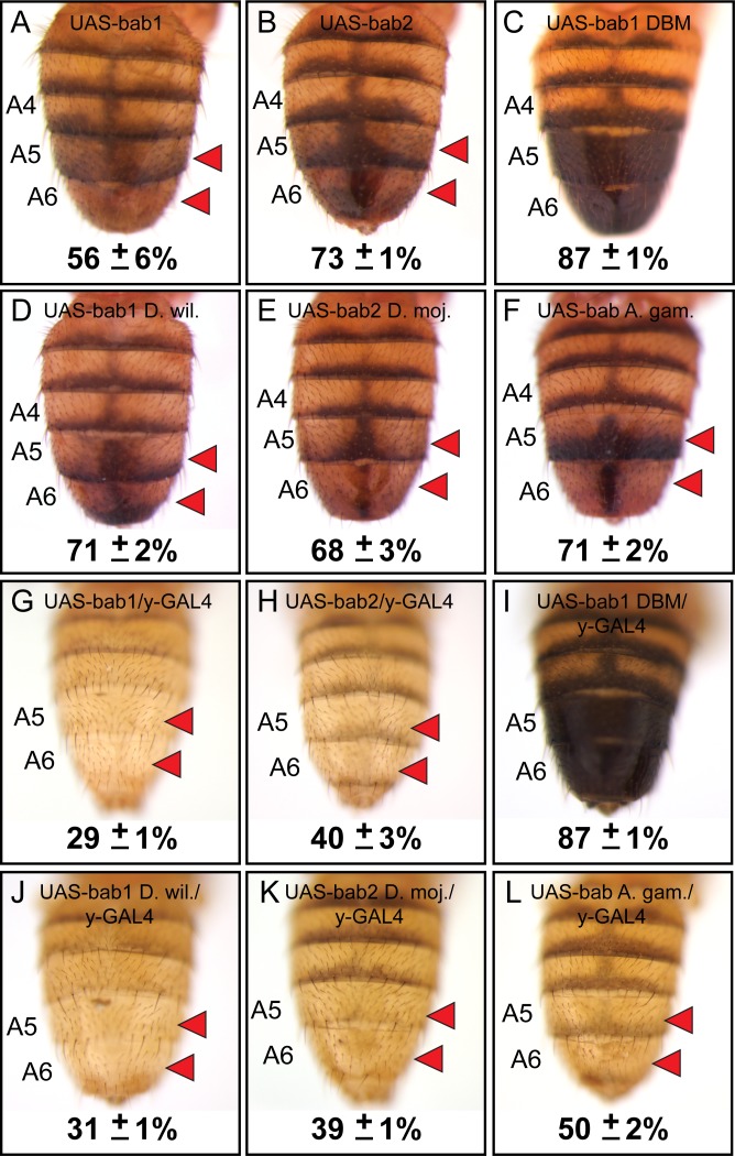 Figure 6.