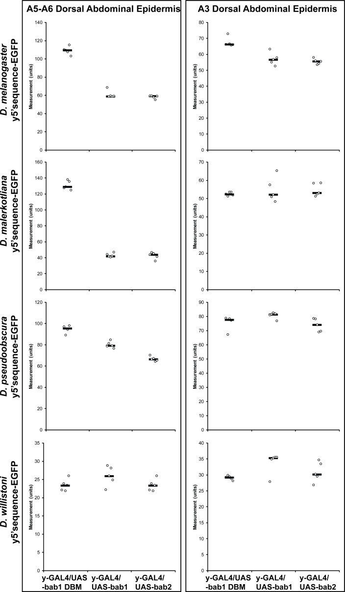 Figure 8—figure supplement 1.