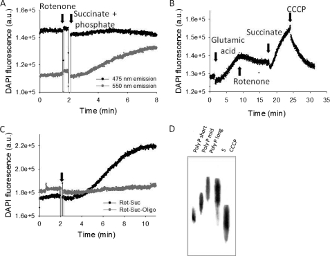 FIGURE 4.