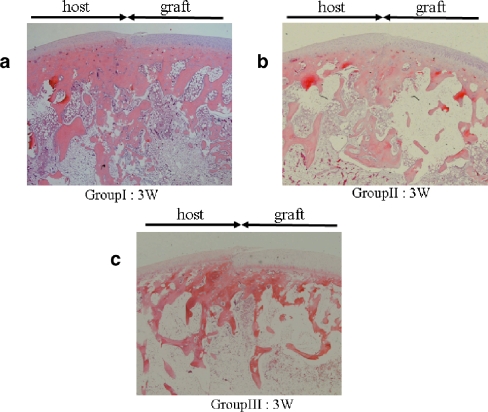 Fig. 3a–c