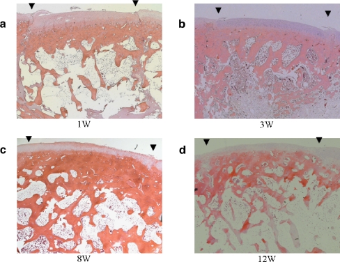 Fig. 2a–d