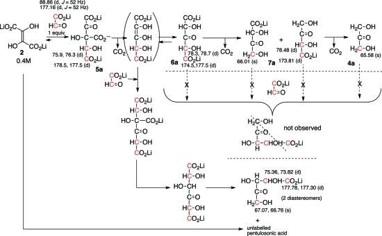 Scheme 2