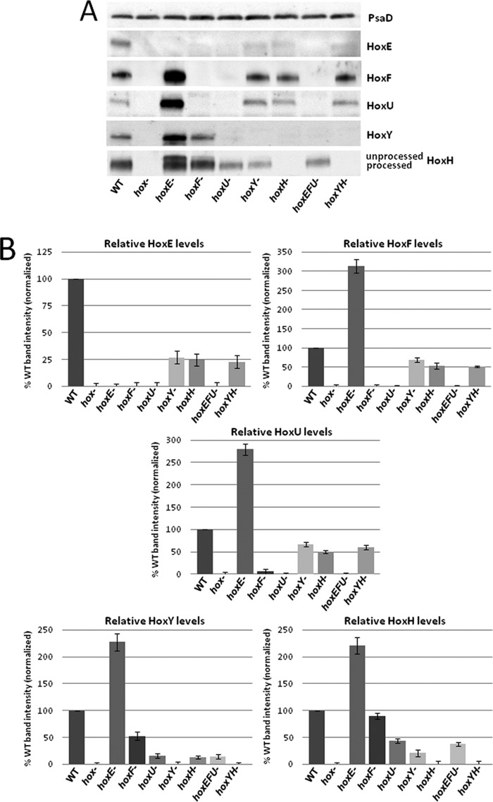 FIGURE 3.