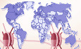 graphic file with name EMBR-22-e52612-g001.jpg
