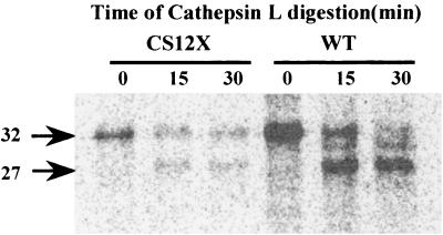 FIG. 6