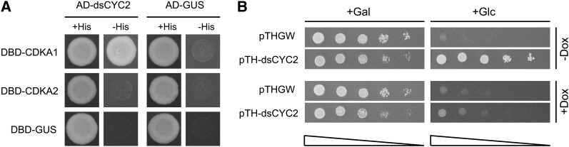 Figure 2.