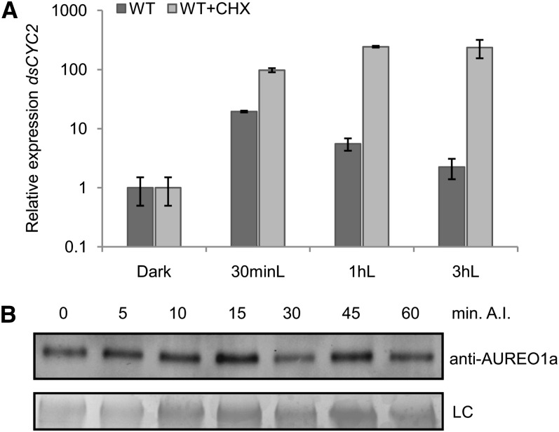 Figure 6.