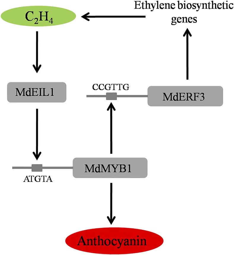 Figure 9.