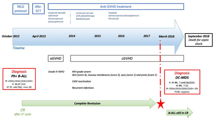 FIGURE 1